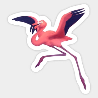 American flamingo Sticker